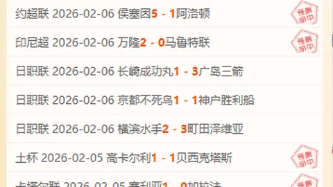 门兴加时一球惊险击败沃尔夫斯堡，120分钟激战以1-0取胜